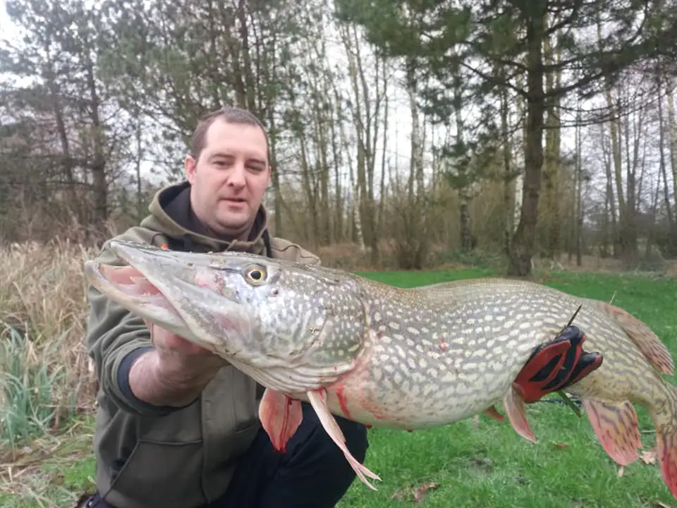 Cottage for 6 people in Chimay Chalet de l’Etang du Marteau